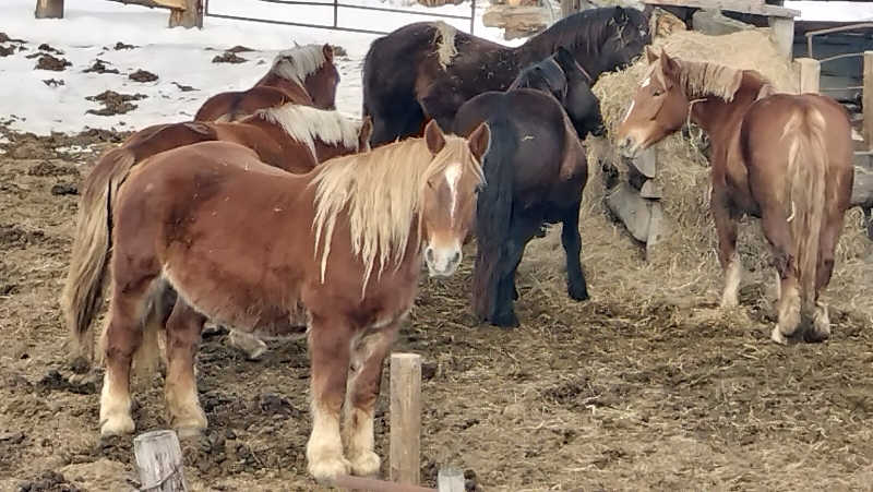 ぺろ(ﾎﾝﾓﾉ)👨🏻‍🦲💛ﾄﾞﾘﾝｸ神さんのあかん遊久の里 鶴雅のサ活写真