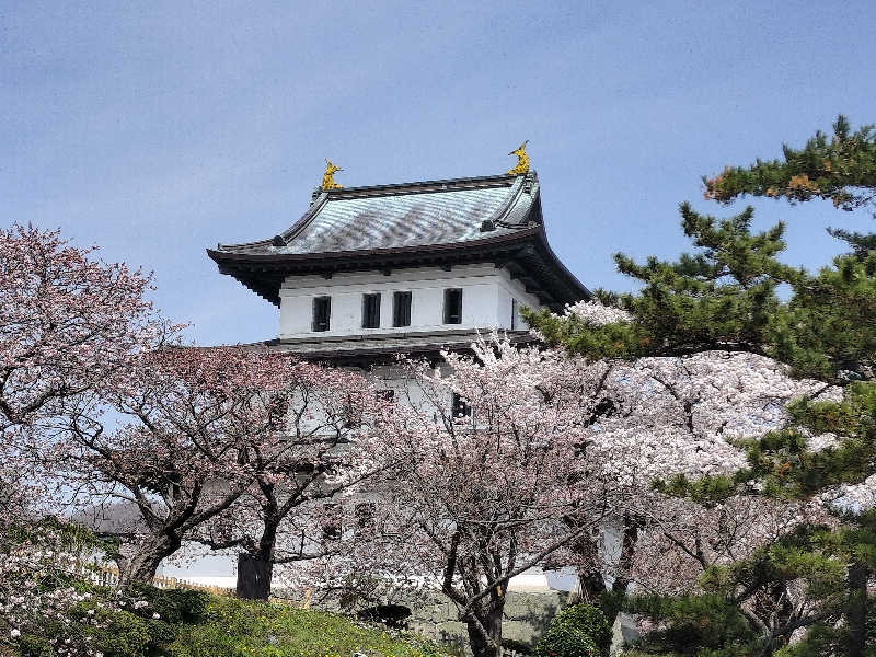 ぺろ👨🏻‍🦲さんの函館高温源泉 湯の箱こみちのサ活写真