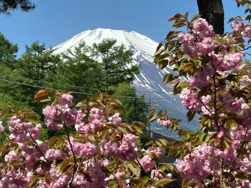 kanaさんの山中湖温泉紅富士の湯のサ活写真