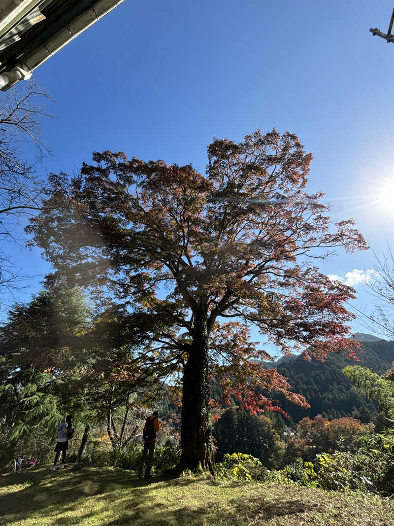 kanaさんの秋川渓谷 瀬音の湯のサ活写真