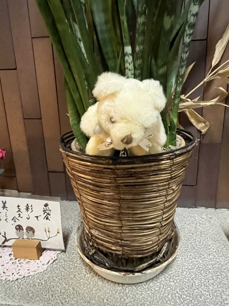 西野　丈さんの電気温泉 弥生湯 西院のサ活写真