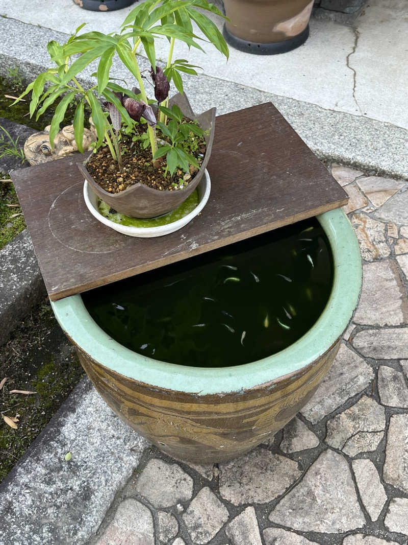 西野　丈さんの福知山温泉 養老の湯のサ活写真