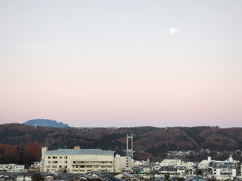 美和ゆらゆらさんのホテルルートインGrand秩父のサ活写真
