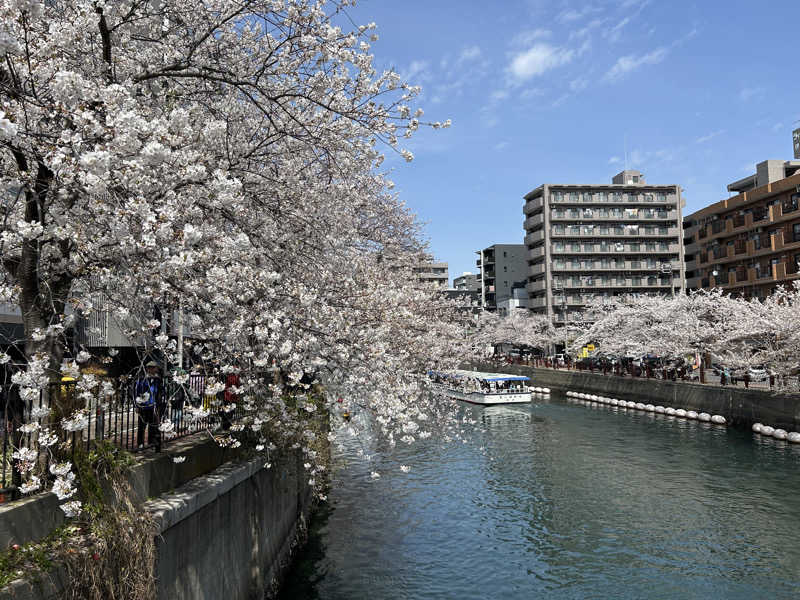 くまこさんのみうら湯 弘明寺店のサ活写真
