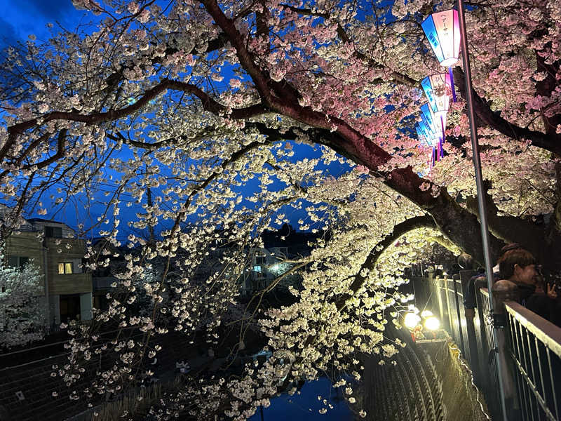 くまこさんのみうら湯 弘明寺店のサ活写真
