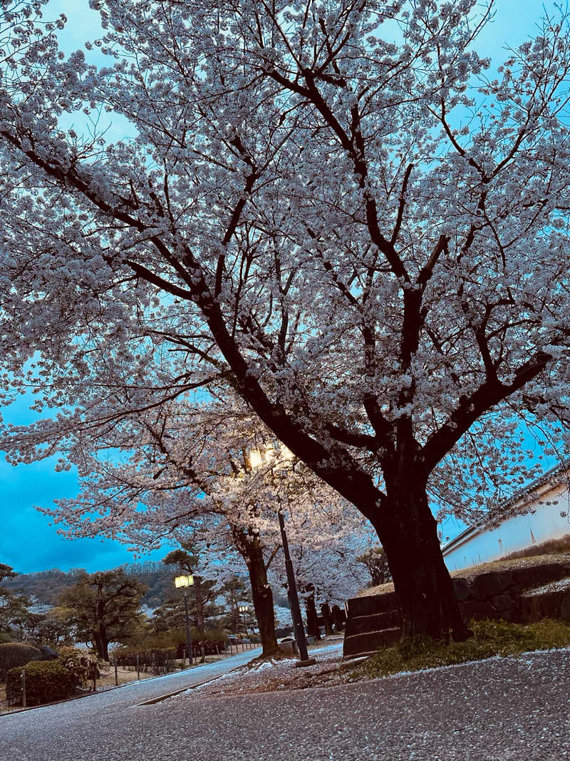 ゆるあなさんの天然温泉HealthySPAサンロードのサ活写真