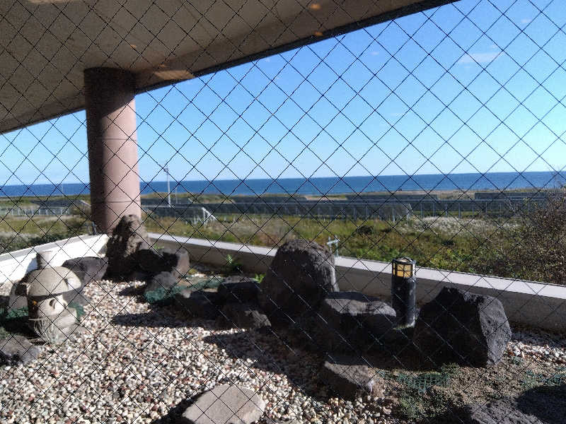 まっちゃんさんの苫小牧温泉ほのかのサ活写真