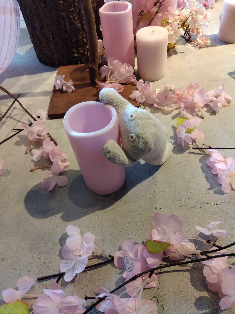 まっちゃんさんの芦別温泉 おふろcafé 星遊館 (芦別温泉スターライトホテル)のサ活写真