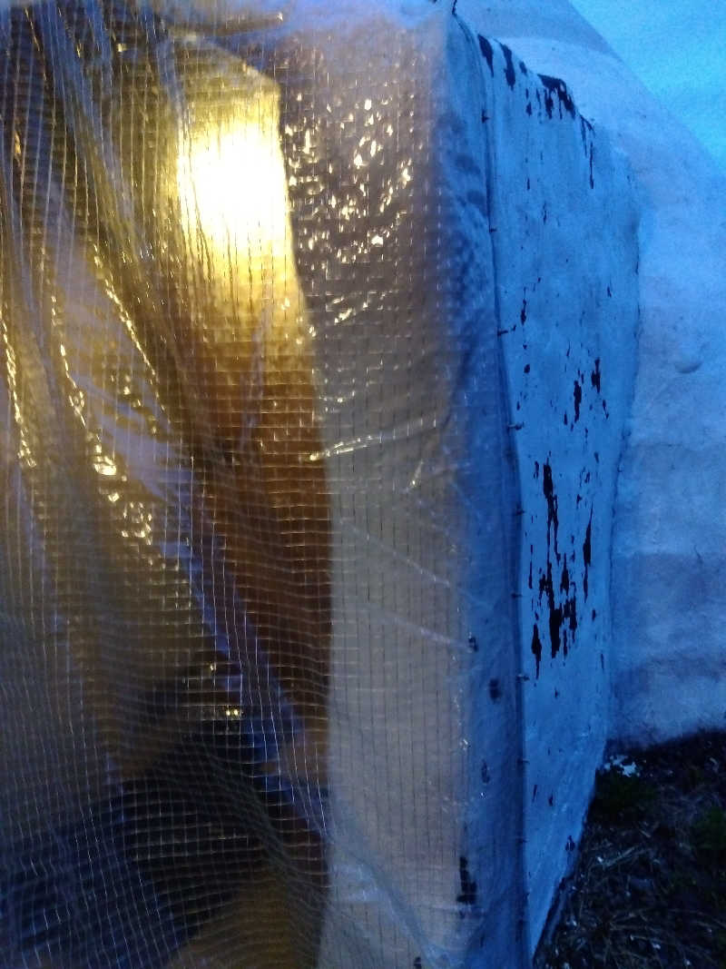 まっちゃんさんのKoti Private SAUNA Cottageのサ活写真