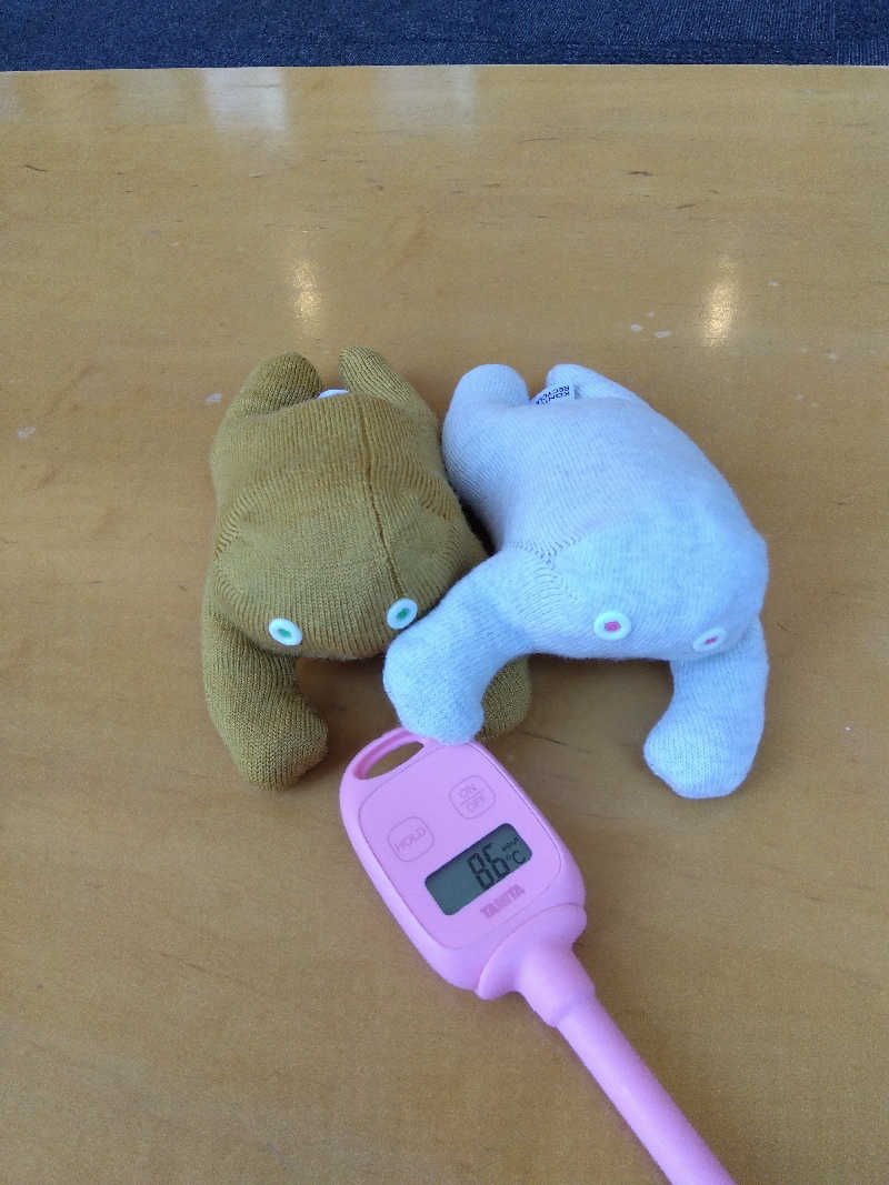 まっちゃんさんのホテル甘露の森のサ活写真