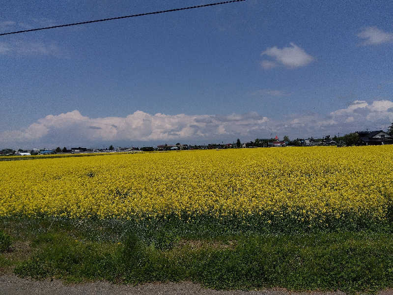 まっちゃんさんのくりやま温泉 ホテルパラダイスヒルズのサ活写真
