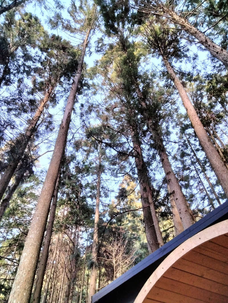 ナンジョーさんのさんかく山 CAMP FIELDのサ活写真