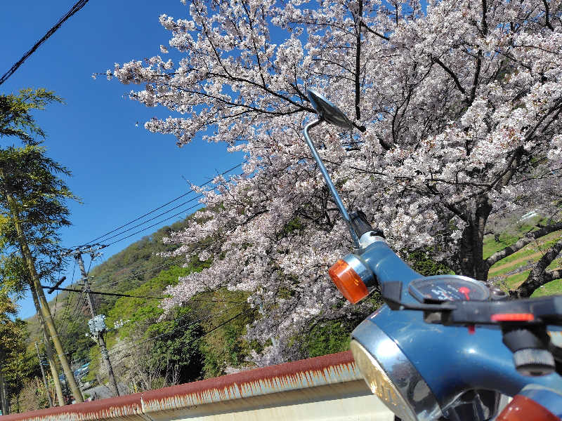 せい＠藍色さんの清川村ふれあいセンター 別所の湯のサ活写真