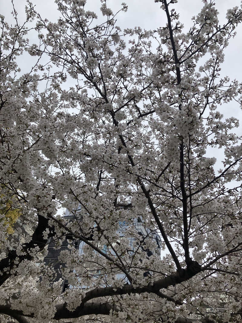 島ジローさんのヘルシー温泉桜川のサ活写真