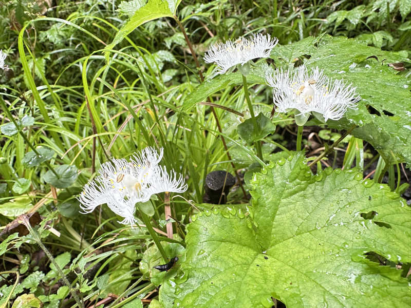 丘サウナ〜ドMさんのThe Saunaのサ活写真