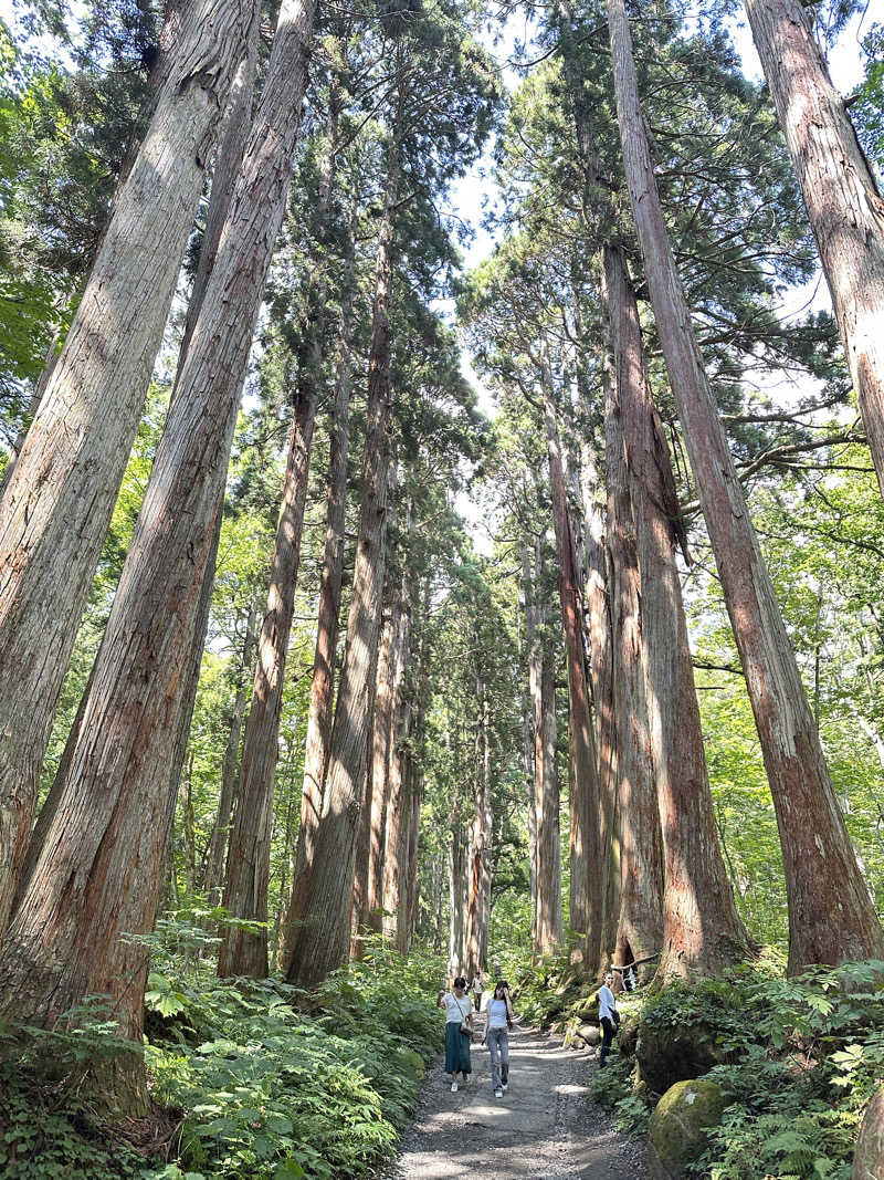 丘サウナ〜ドMさんのThe Saunaのサ活写真