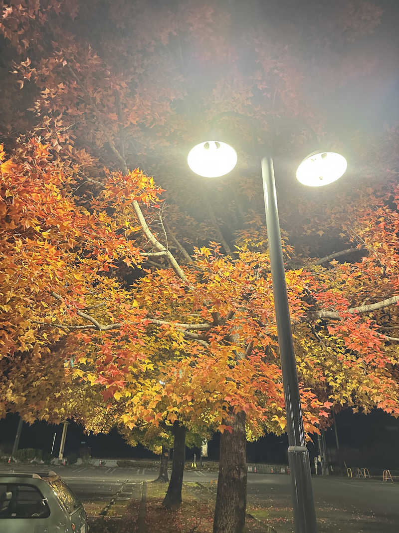 丘サウナ〜ドMさんのとうえい温泉 花まつりの湯のサ活写真