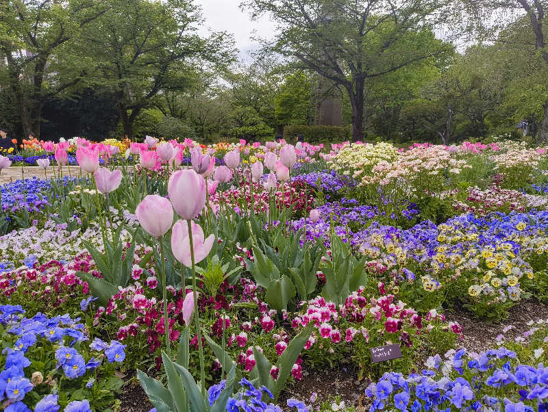 サウナーノコさんのよみうりランド眺望温泉 花景の湯のサ活写真