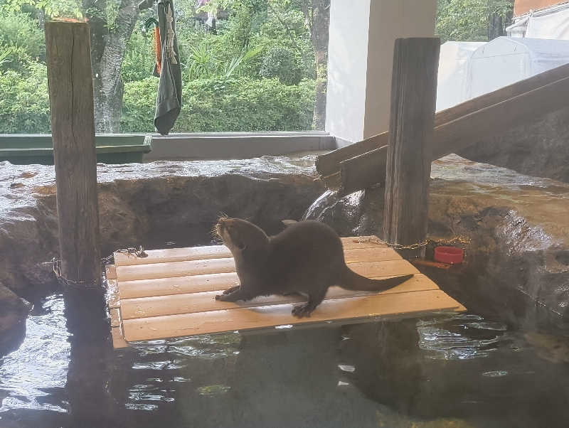 サウナーノコさんのよみうりランド眺望温泉 花景の湯のサ活写真