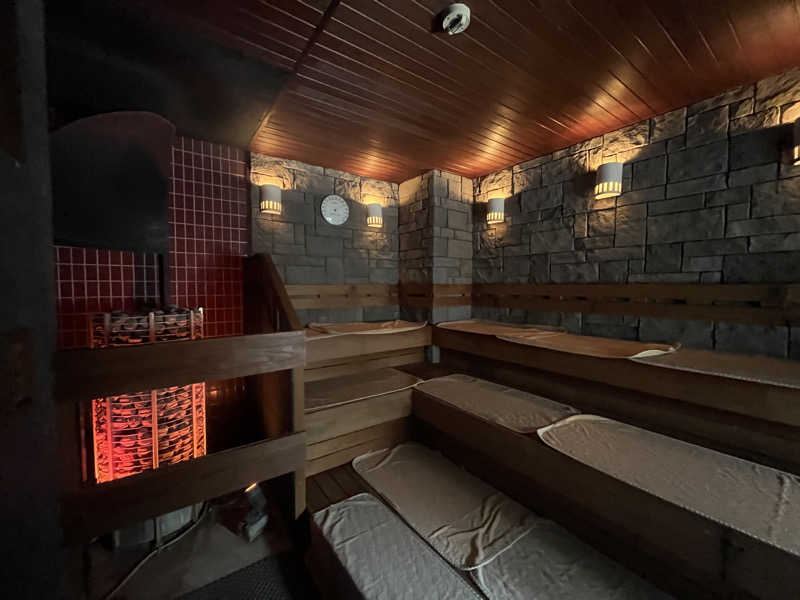 ダースーさんのサウナ&カプセルホテル 北欧のサ活写真