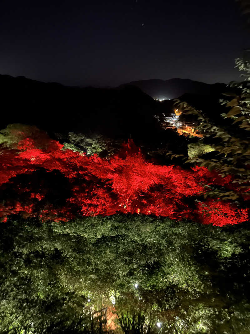 だいすけざうるすさんの御船山楽園ホテル  らかんの湯のサ活写真