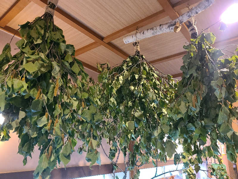 ふみおさんの林檎の湯屋 おぶ～のサ活写真