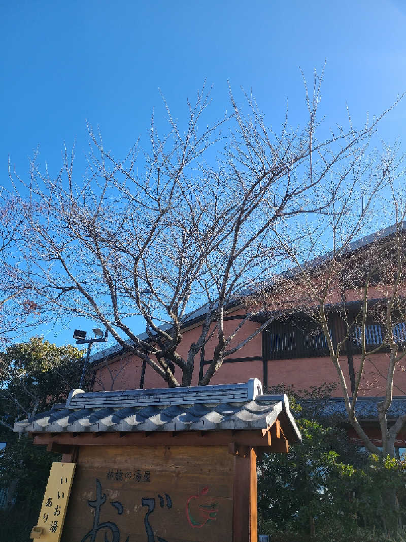 ふみおさんの林檎の湯屋 おぶ～のサ活写真