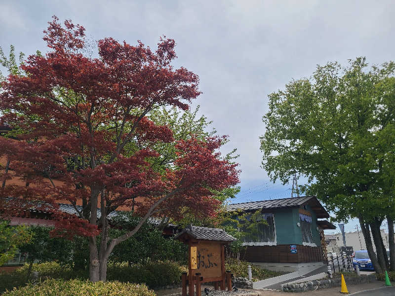 ふみおさんの林檎の湯屋 おぶ～のサ活写真