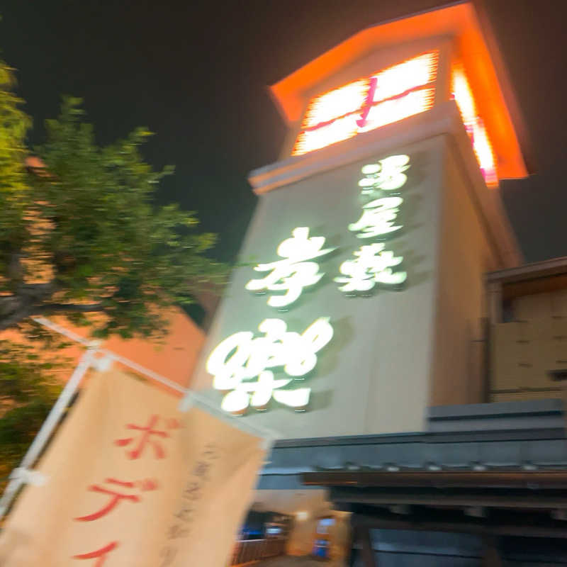 ヨッシー使い( ᐛ👐 )🦖🥚✩˚｡⋆さんの湯屋敷孝楽のサ活写真