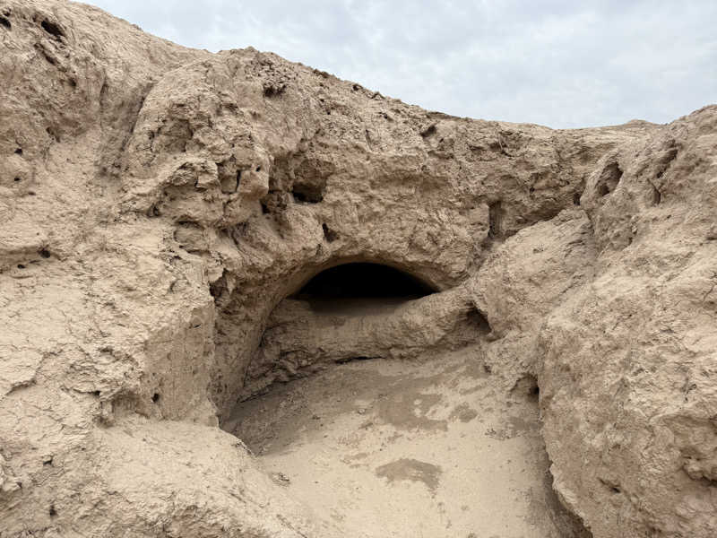 ガンダムさんの第3ハマム(Общественная баня №3)のサ活写真