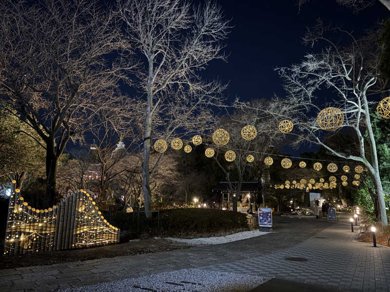 りやんさんのよみうりランド眺望温泉 花景の湯のサ活写真