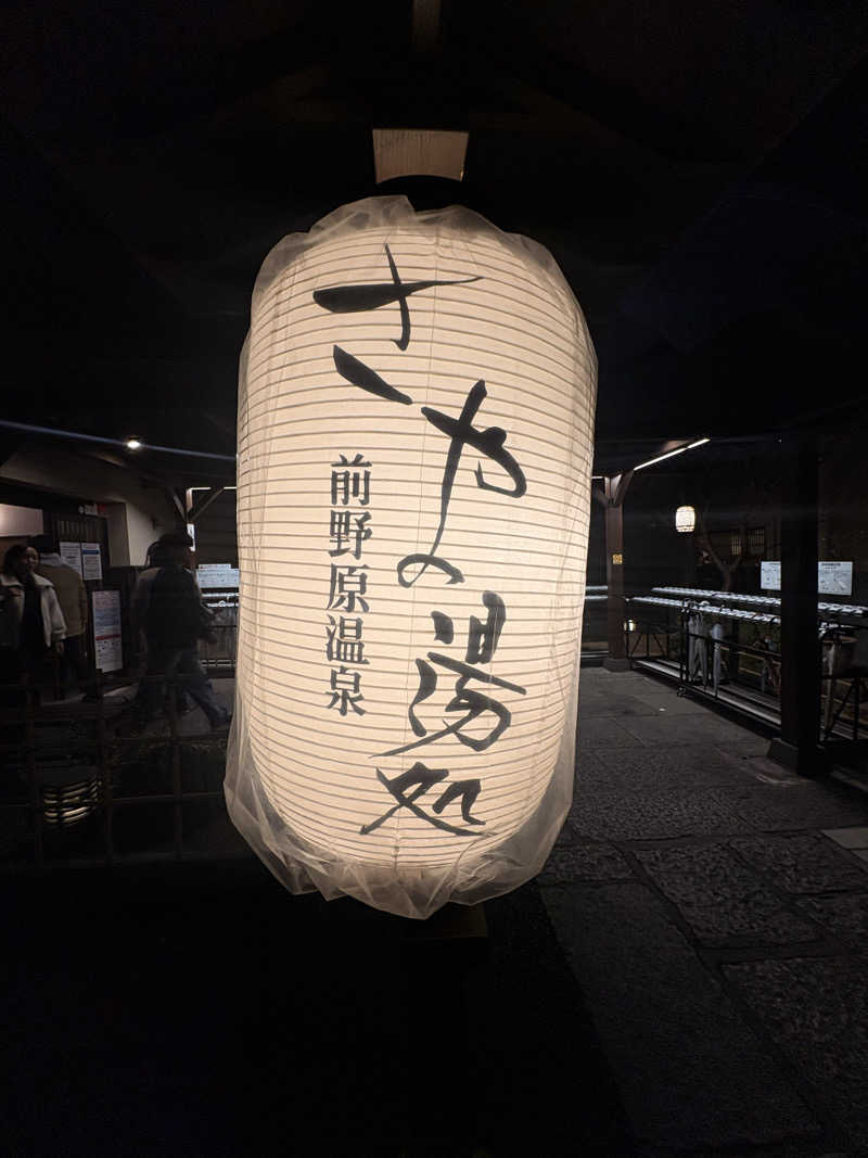 りやんさんの前野原温泉 さやの湯処のサ活写真