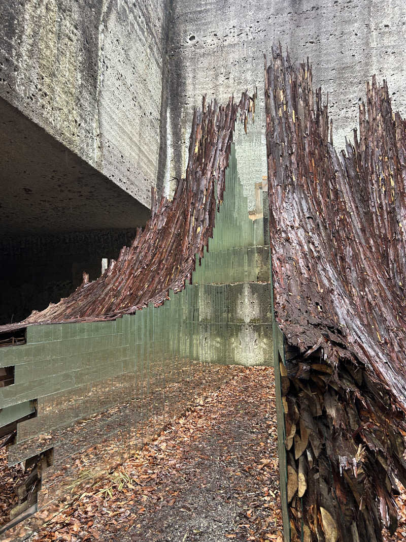pOo(-_-)oOqさんの大谷元気炉 六号基 |AZUMAYAのサ活写真