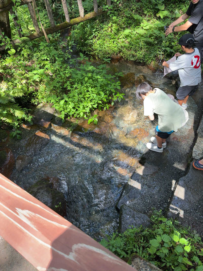 熱波に呼ばれてさんの蒜山やつか温泉快湯館のサ活写真