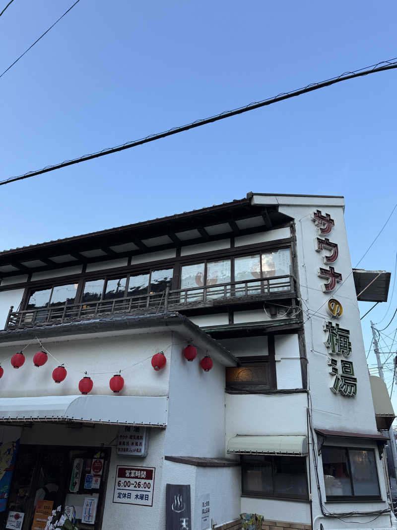 つごしさんのサウナの梅湯のサ活写真