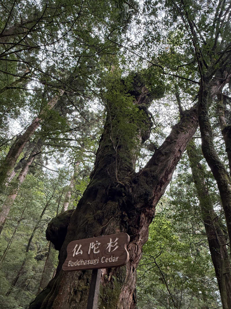 ごっしーさんの縄文の宿まんてんのサ活写真