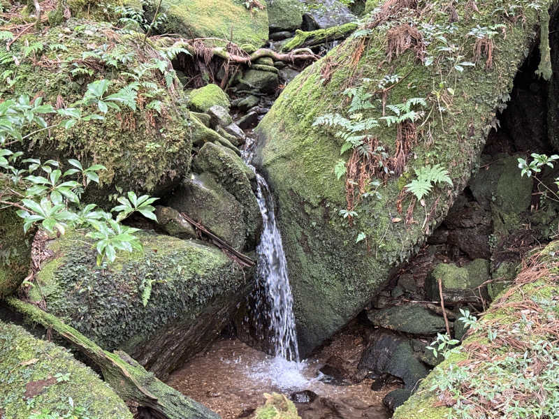 ごっしーさんの縄文の宿まんてんのサ活写真