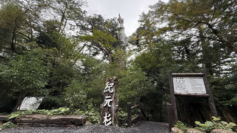 ごっしーさんの縄文の宿まんてんのサ活写真