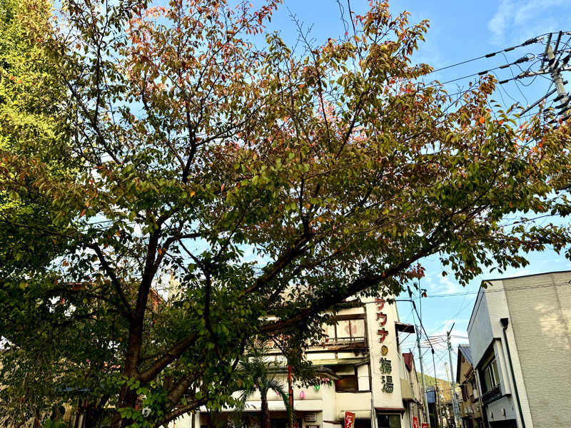 ごっしーさんのサウナの梅湯のサ活写真