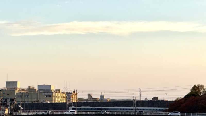 ごっしーさんのサウナの梅湯のサ活写真