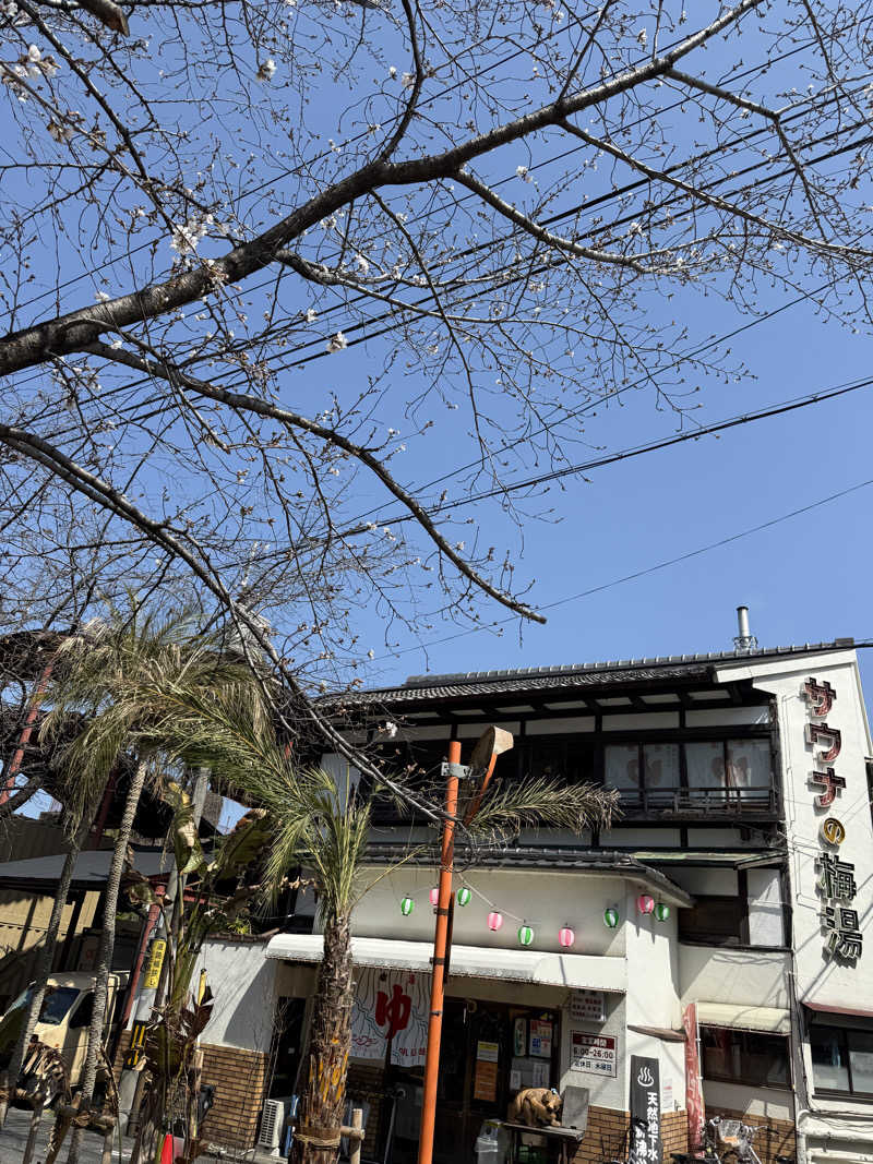 ごっしーさんのサウナの梅湯のサ活写真