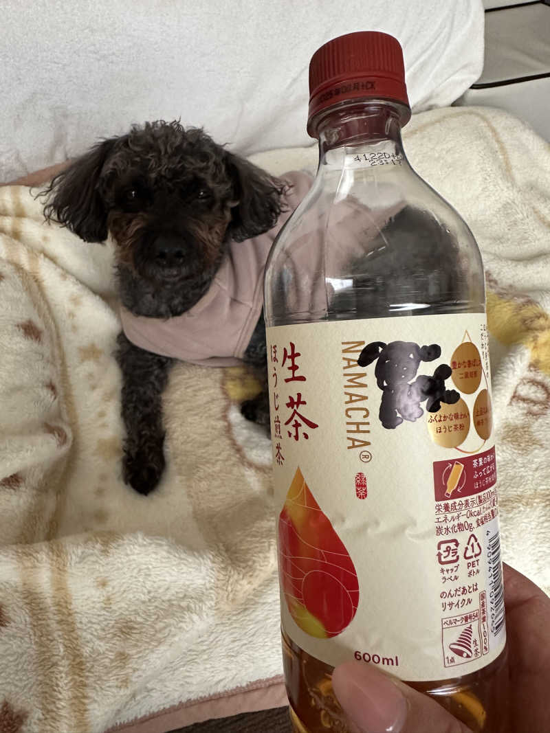 ᴋᴇɴ & ᴋᴏᴛᴇᴛsᴜさんの酒々井温泉 湯楽の里のサ活写真