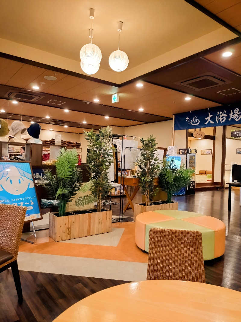 ニアさんさんのコロナの湯 豊川店 (ホテルキャッスルイン豊川)のサ活写真