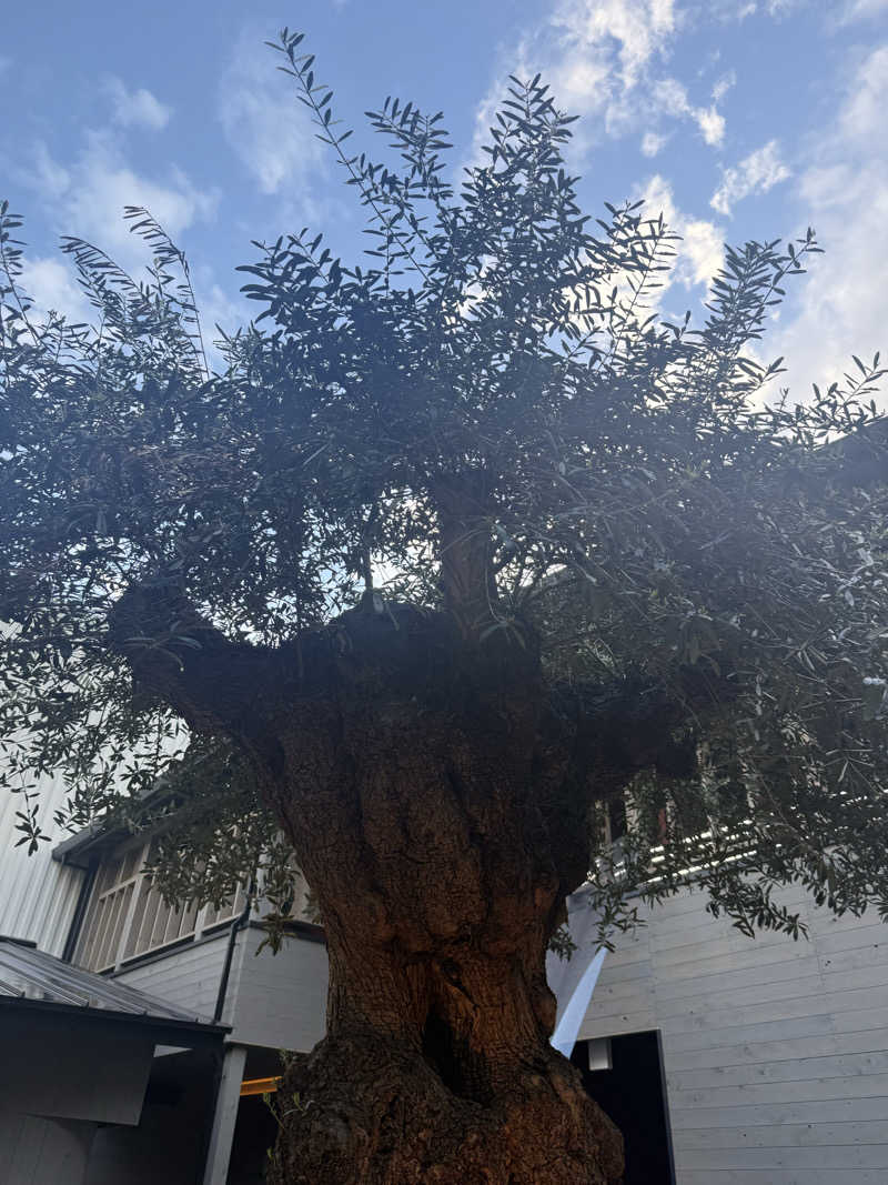 omiさんのsauna kolme kylä (サウナ コルメ キュラ)のサ活写真