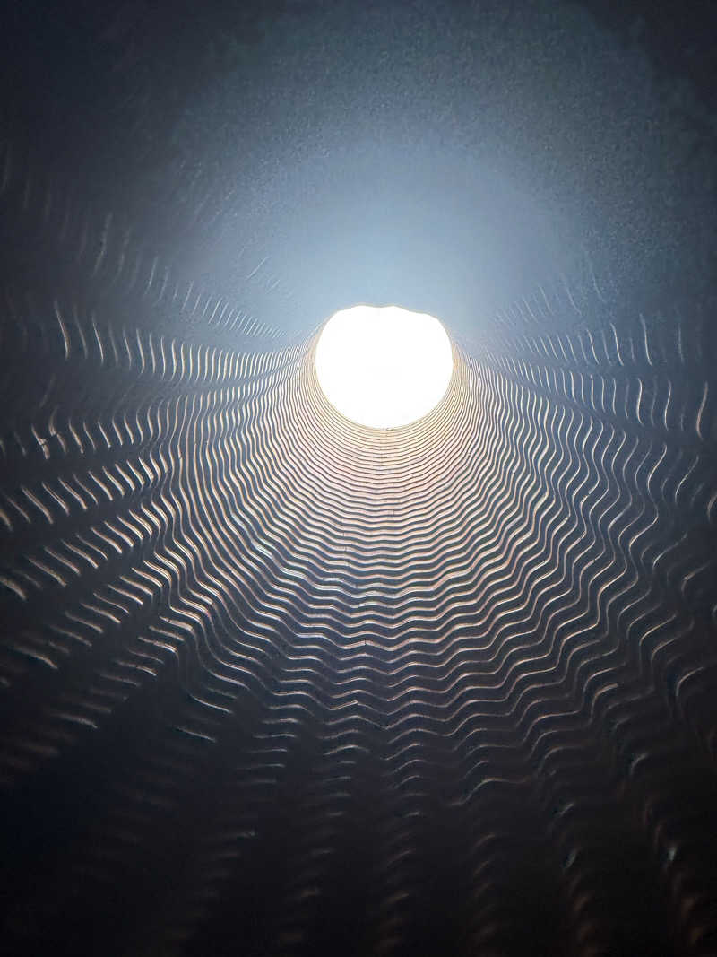 omiさんのsanamaneのサ活写真