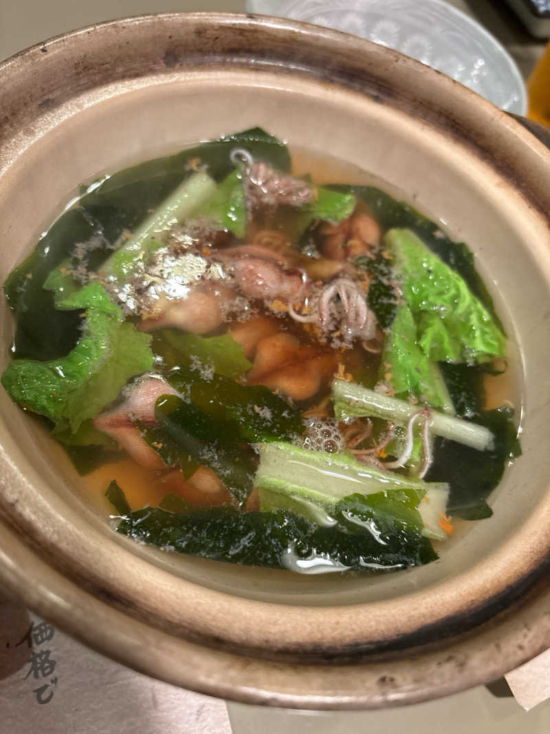 ヒロアキさんの天然温泉 剱の湯 御宿 野乃富山のサ活写真