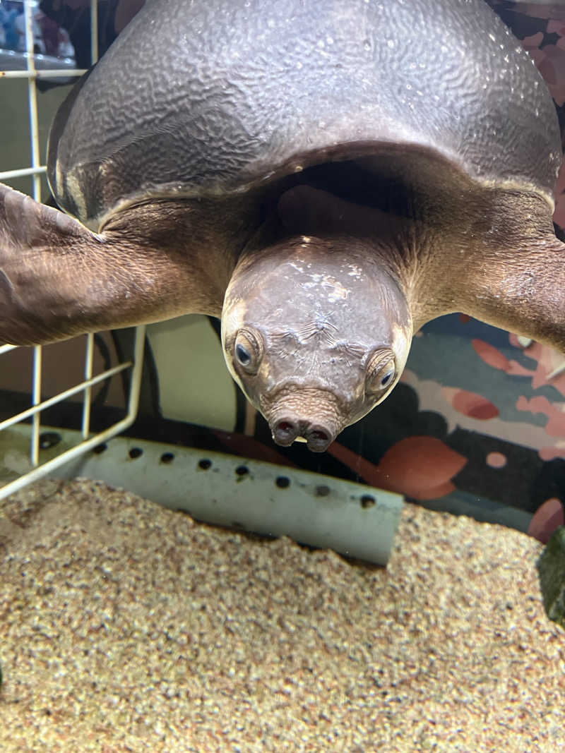 サウナスキーさんの松本湯のサ活写真