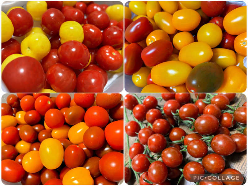 TZさんの今江温泉元湯のサ活写真