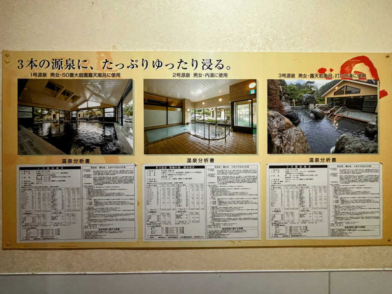 TZさんの多宝温泉 だいろの湯のサ活写真