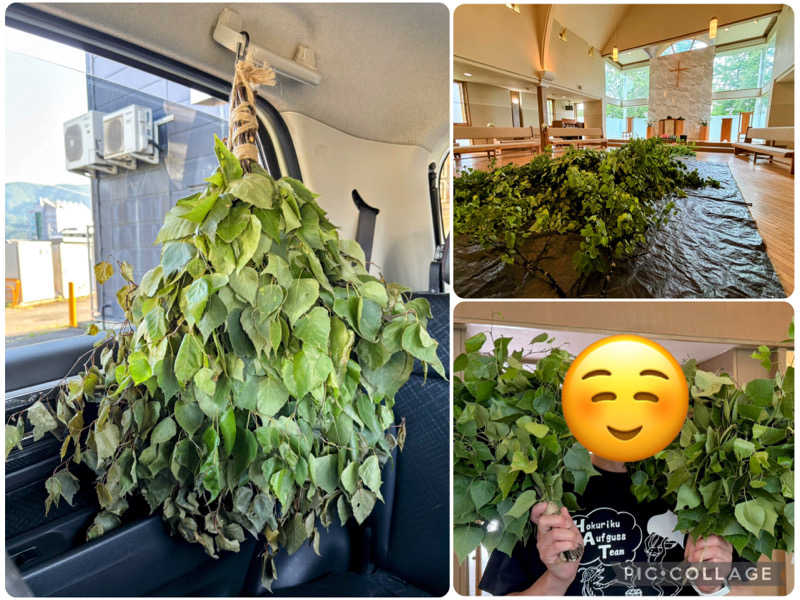 TZさんのSAUNA TEN            "Birch and cloud forest"のサ活写真